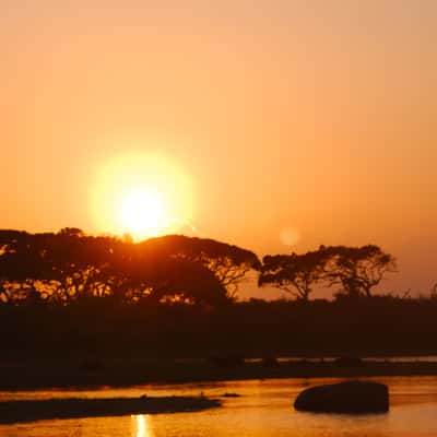 Yala Strict Nature Park, Sri Lanka