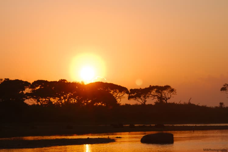 Yala Strict Nature Park