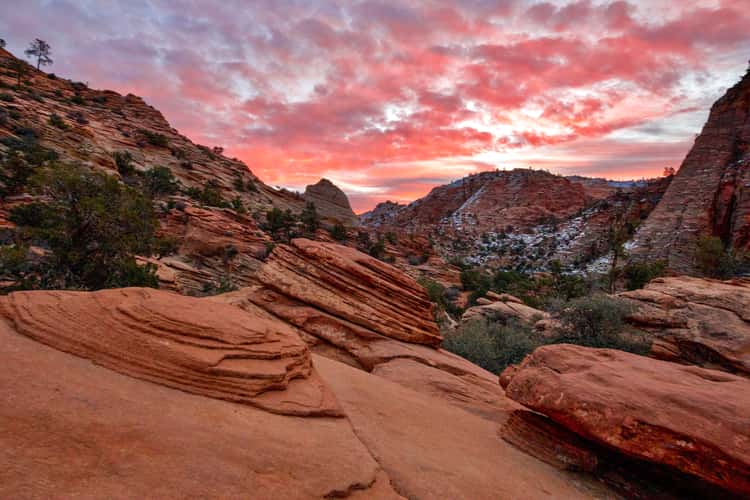 Canyon Overlook, Zion National Park