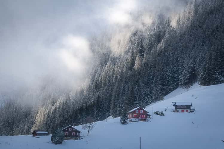 Arnisee