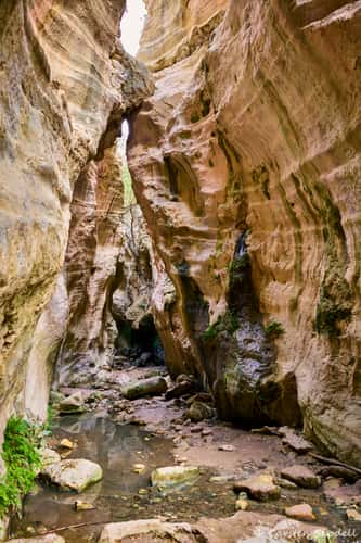 Avakas Gorge