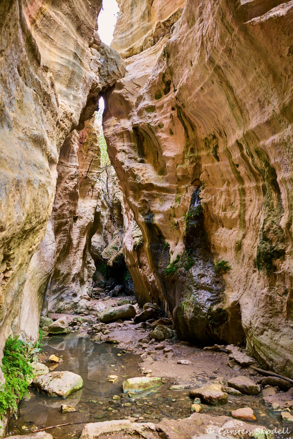 Avakas Gorge, Cyprus