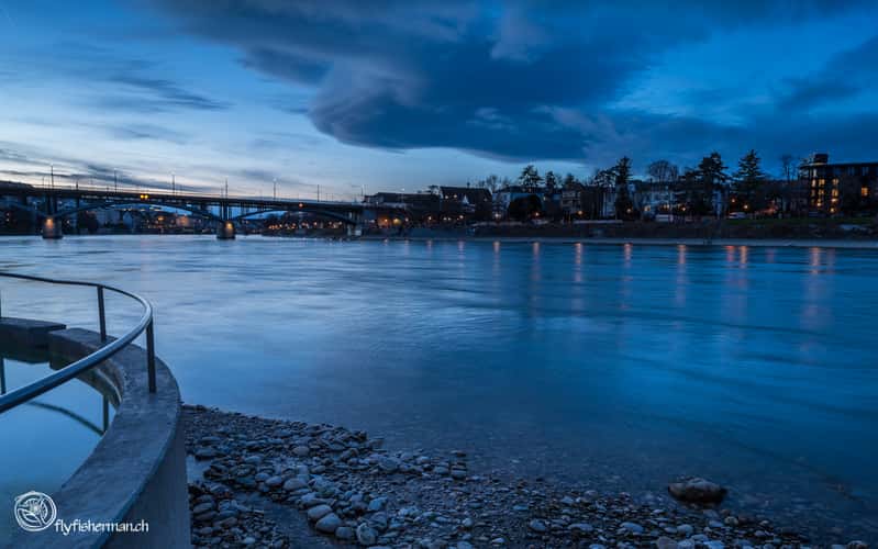 Basel, Rhein incl. Münster