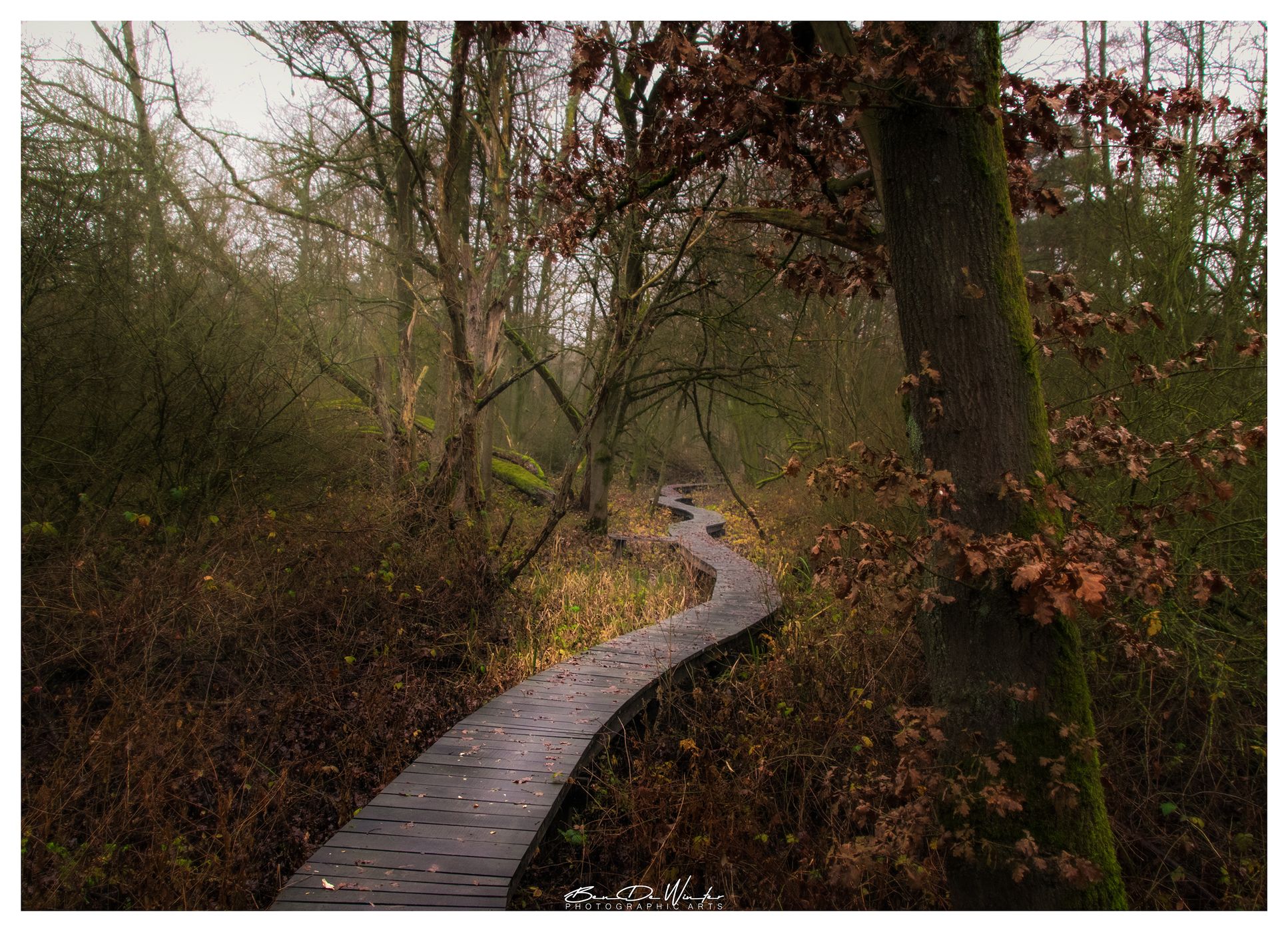 Demerbroeken, Testelt, Belgium