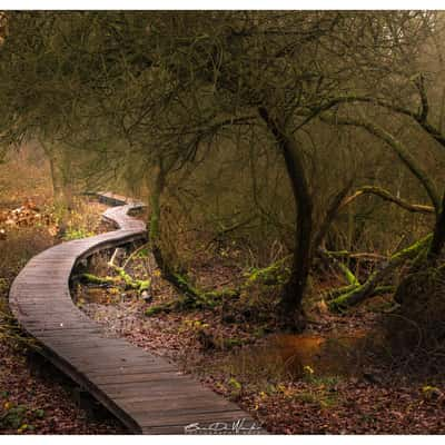 Demerbroeken, Testelt, Belgium