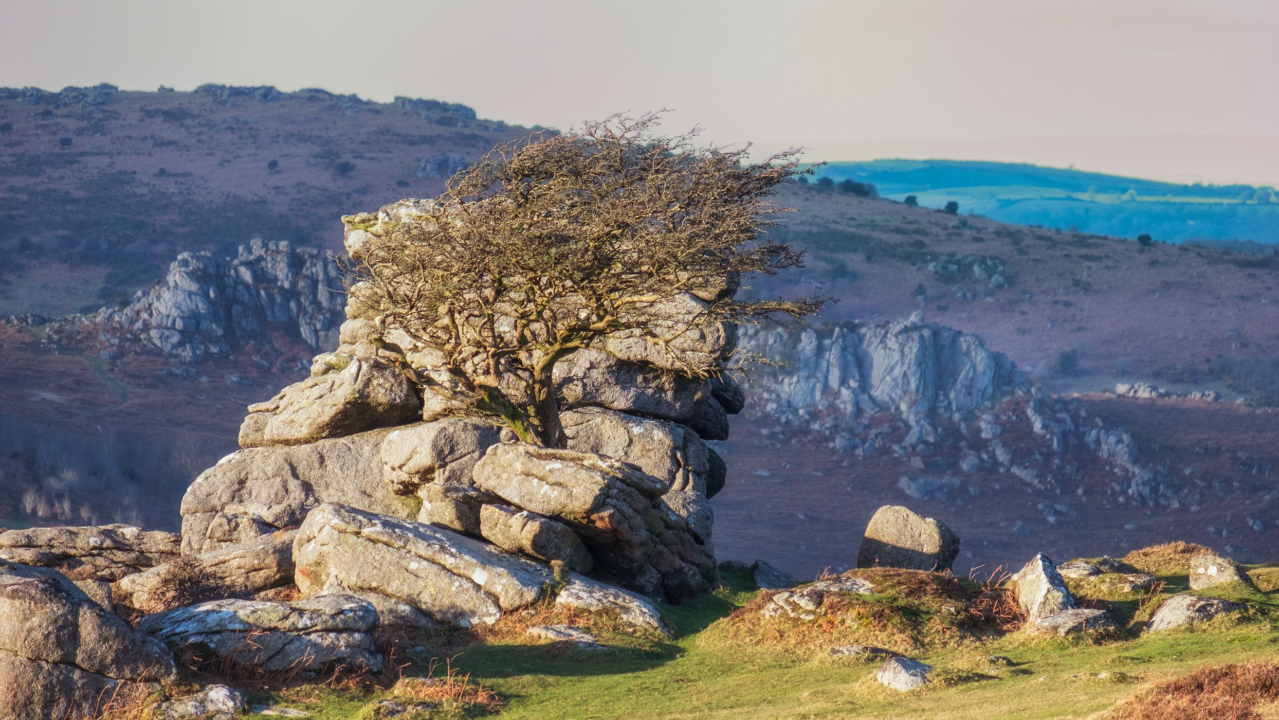 Emsworthy Tor, United Kingdom