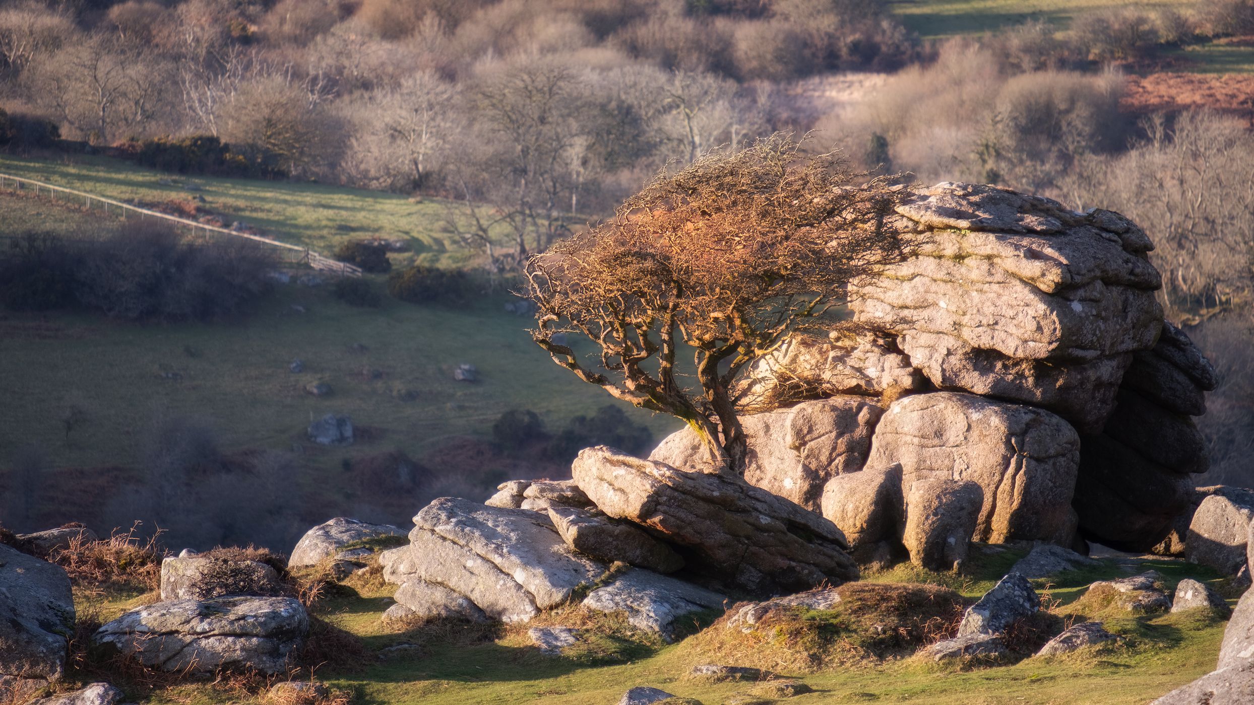 Emsworthy Tor, United Kingdom