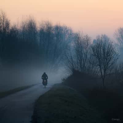 Fietser op Schelde dijk Destelbergen, Belgium