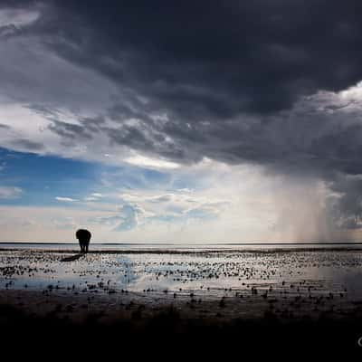 Fishers Pan Drive, Namibia