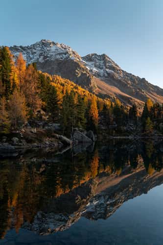 Golden season at Lago di Saoseo