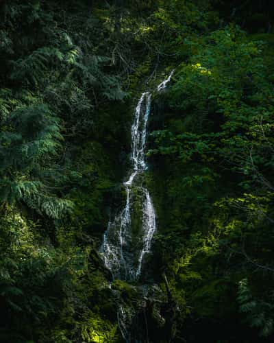 Gowlland Tod Provincial Park