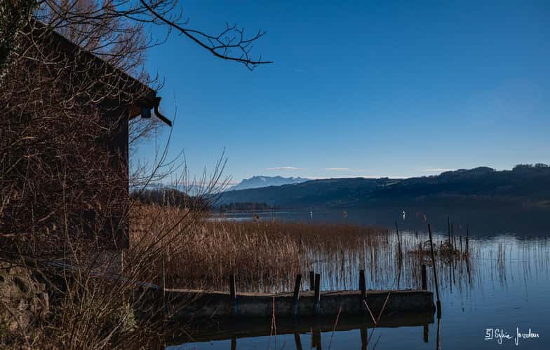 Hallwilersee, Westside of the lake