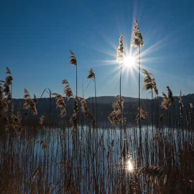 Hallwilersee, Westside of the lake, Switzerland