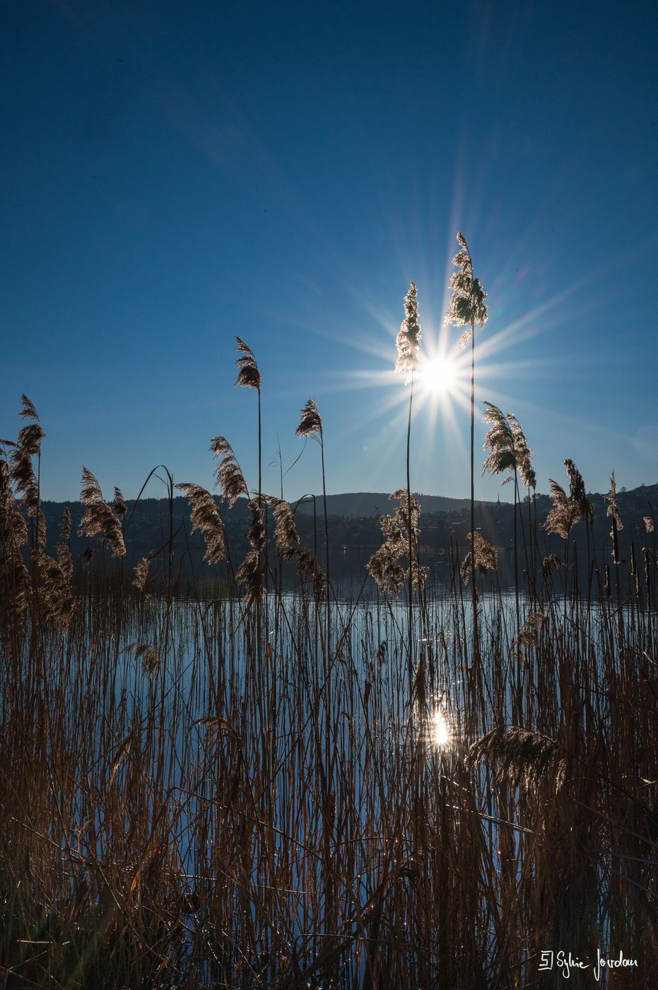 Hallwilersee, Westside of the lake, Switzerland