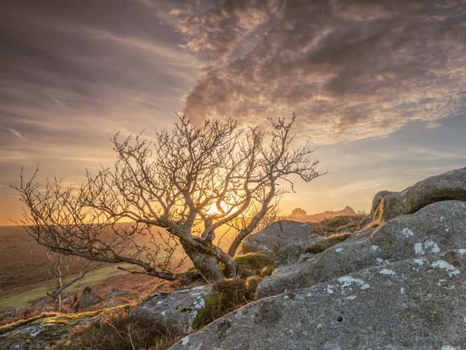 Haytor Rock