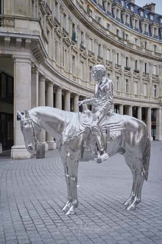 Horse and rider
