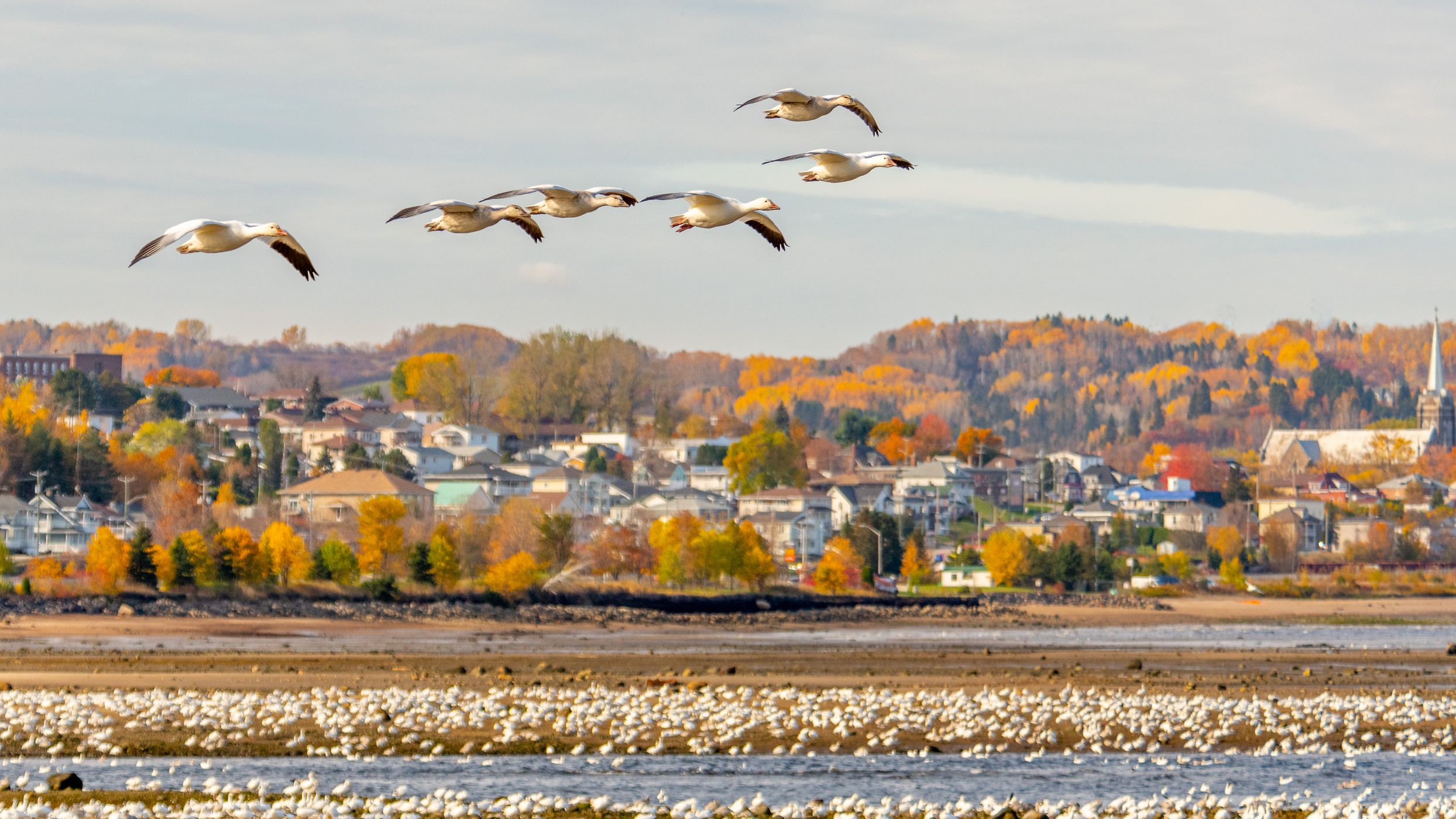 La Baie, Canada