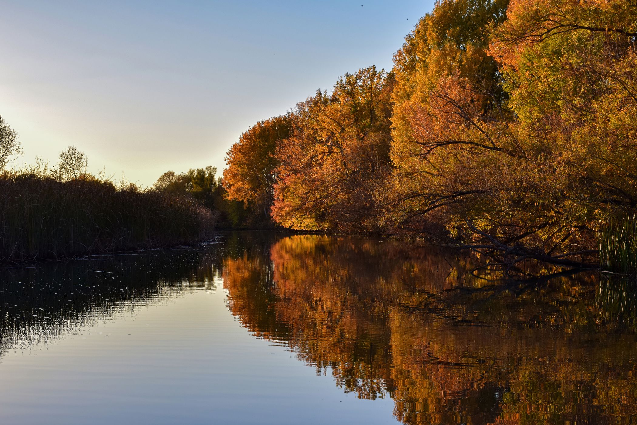 Lake Tisza, Poroszló, Hungary