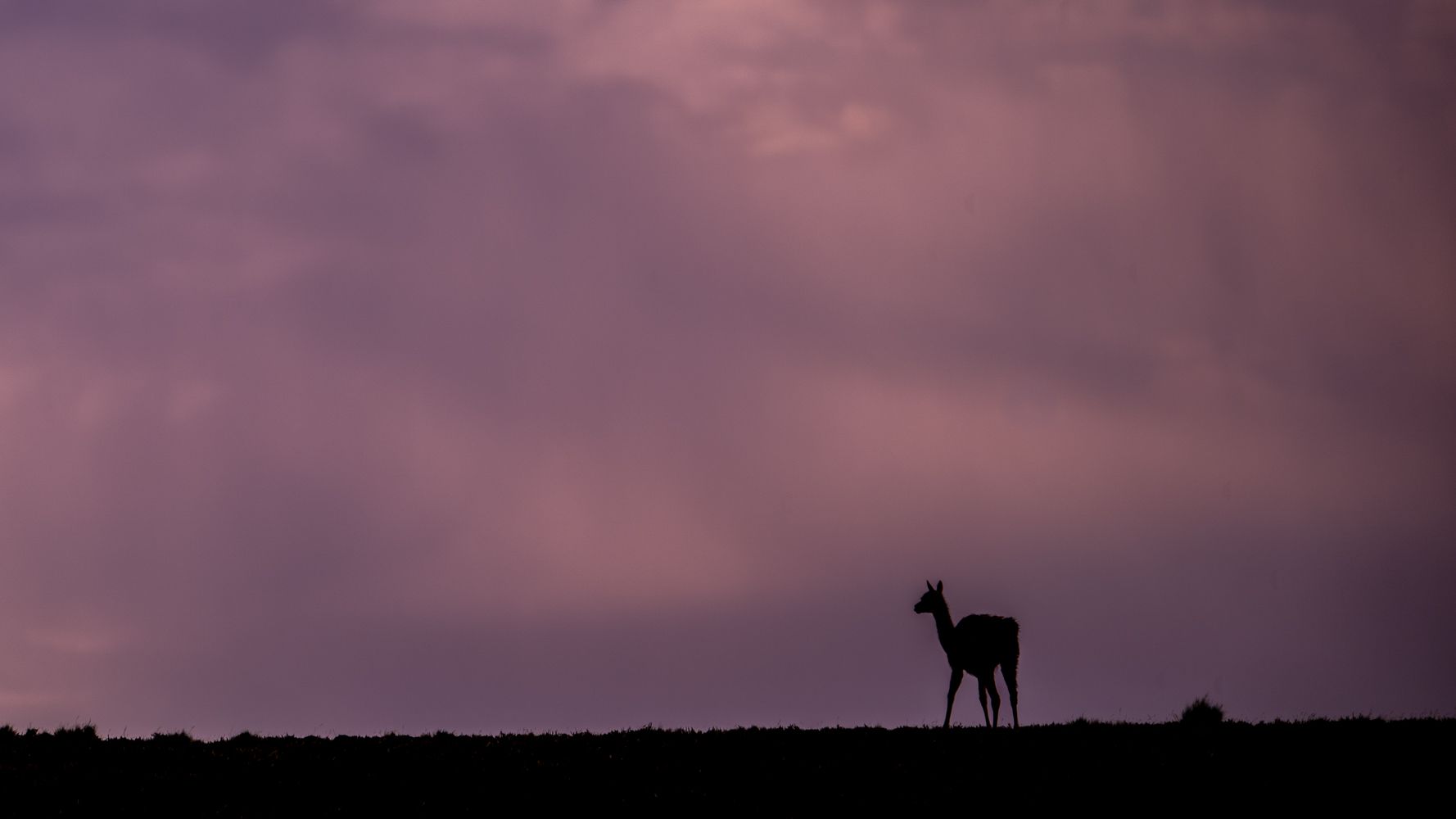 Minimalist Patagonia, Argentina