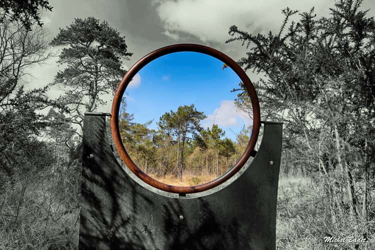 Paimpont and the Brocéliande Forest