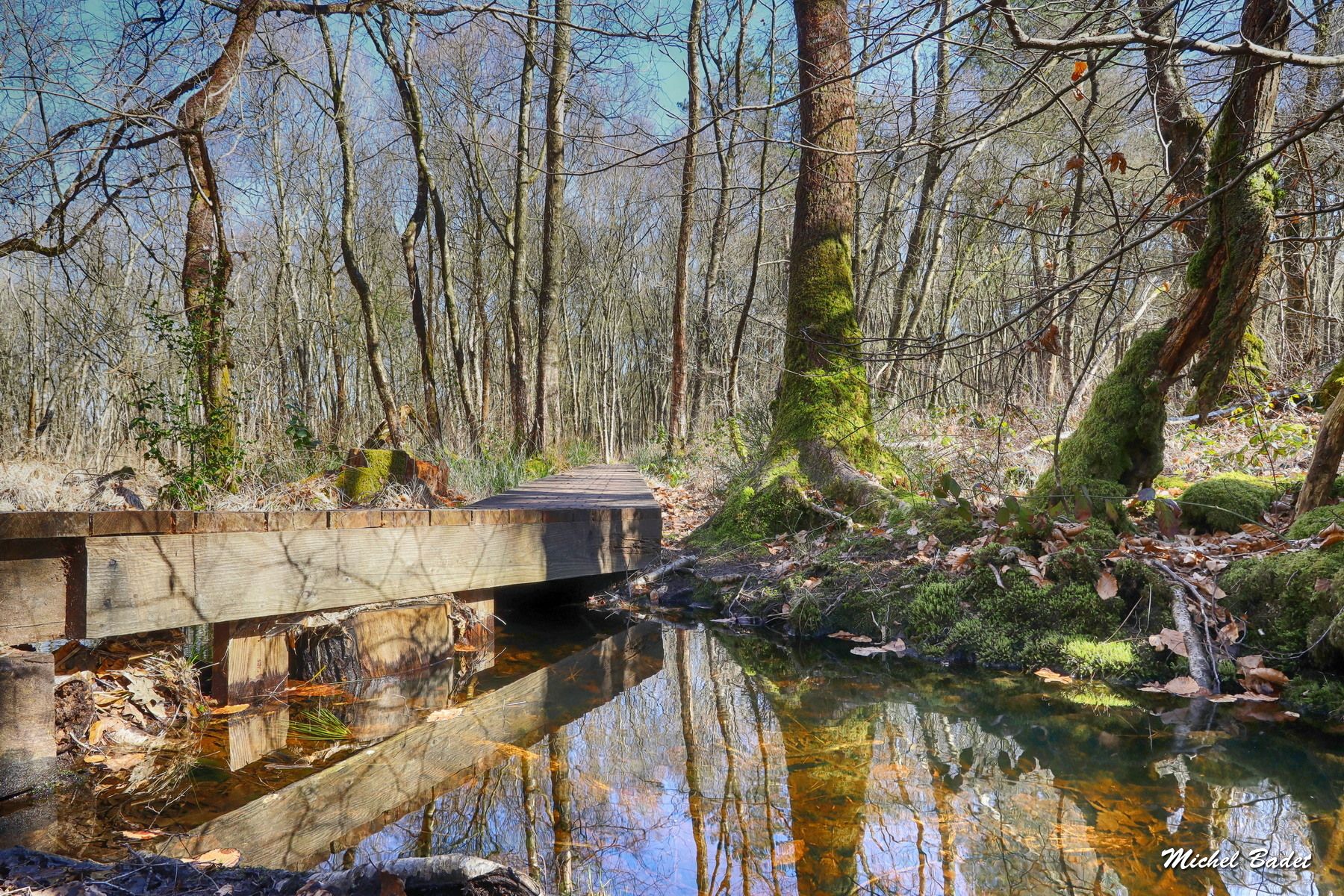 Paimpont and the Brocéliande Forest, France
