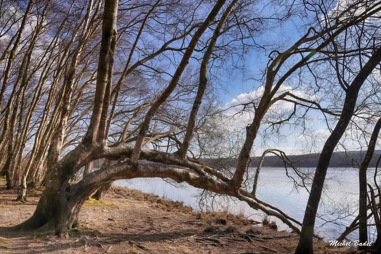 Paimpont and the Brocéliande Forest