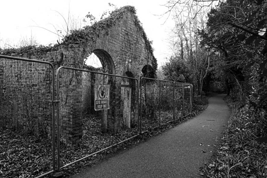 Path in the woods at Newbridge House, Ireland
