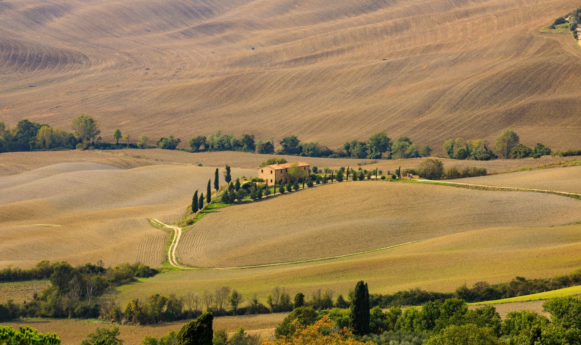 Podere Belvedere in the Val D'orcia Tuscany, Italy