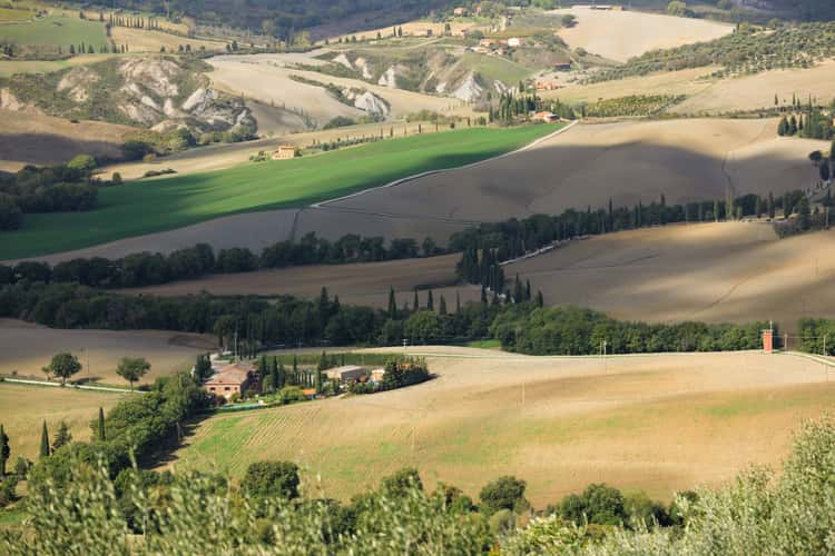 Podere Belvedere in the Val D'orcia Tuscany