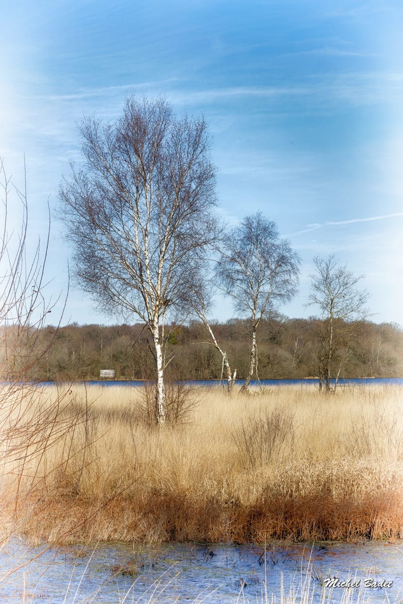 Pond of Feins (Pond of Boulet), France