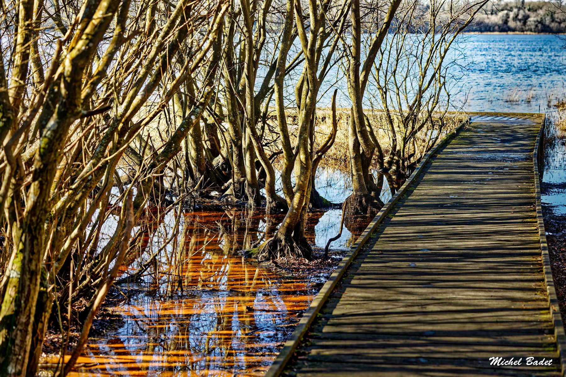 Pond of Feins (Pond of Boulet), France