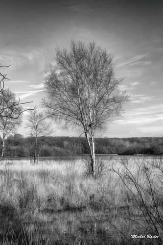 Pond of Feins (Pond of Boulet)