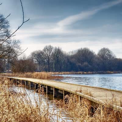 Pond of Feins (Pond of Boulet), France