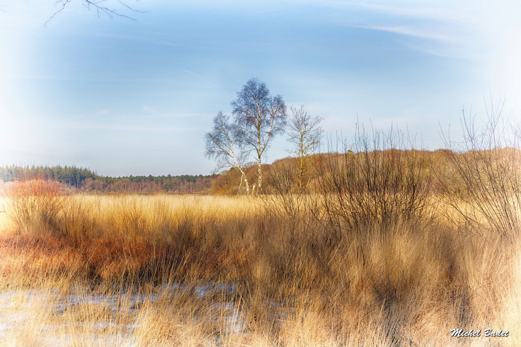 Pond of Feins (Pond of Boulet), France