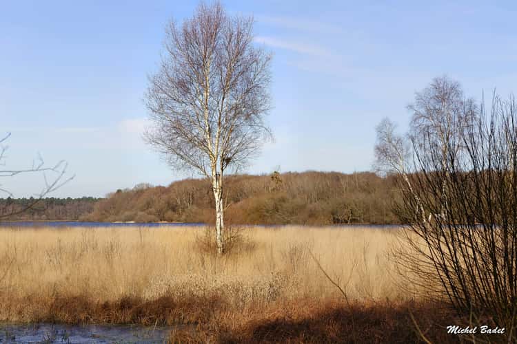 Pond of Feins (Pond of Boulet)
