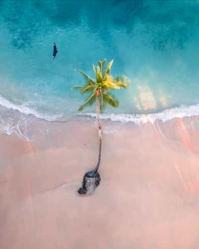 Punta Uva