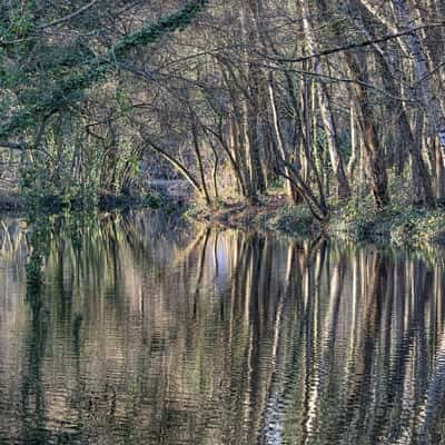 Rennes, Parc des Gayeulles, France