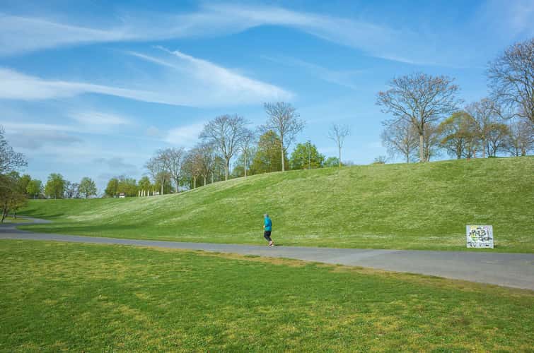 Rheinaue, Bonn