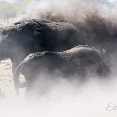 Rietfontein, Namibia