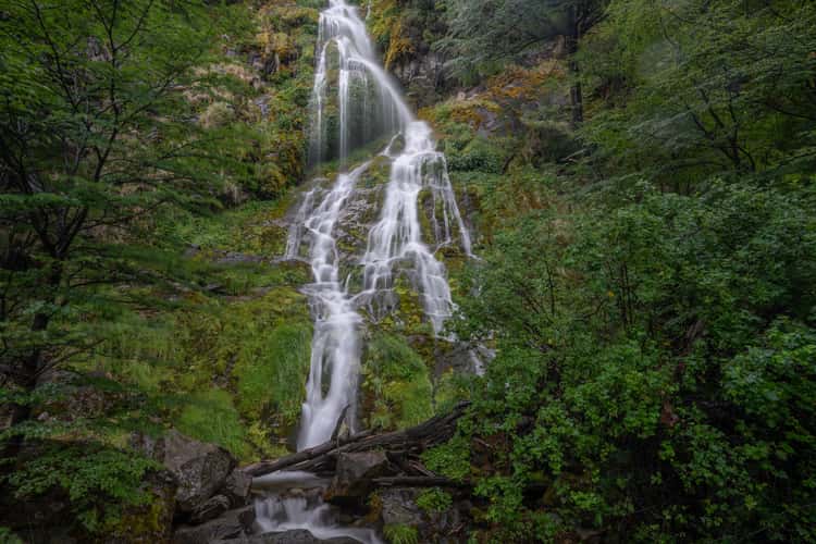Salto del anillo