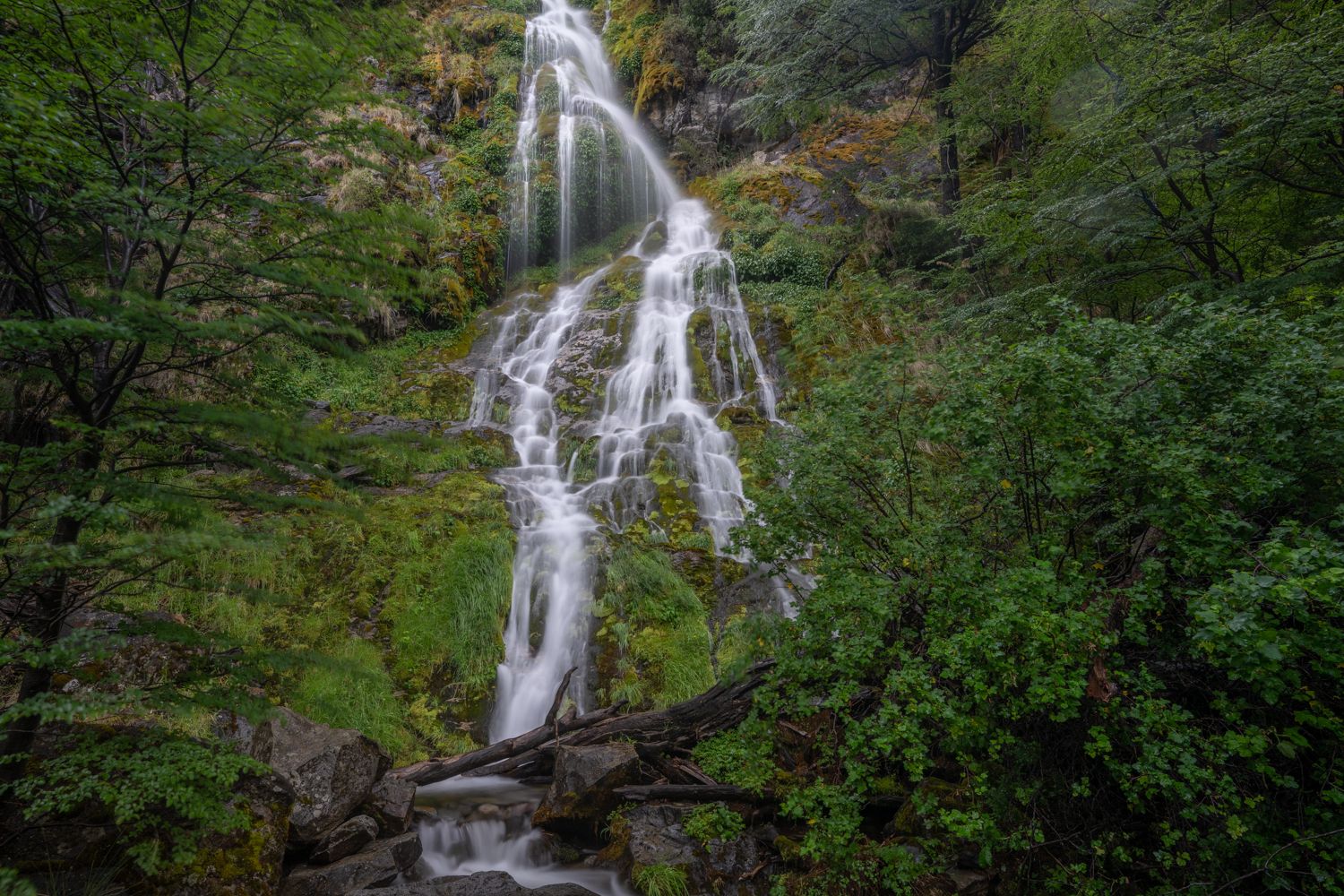 Salto del anillo, Argentina