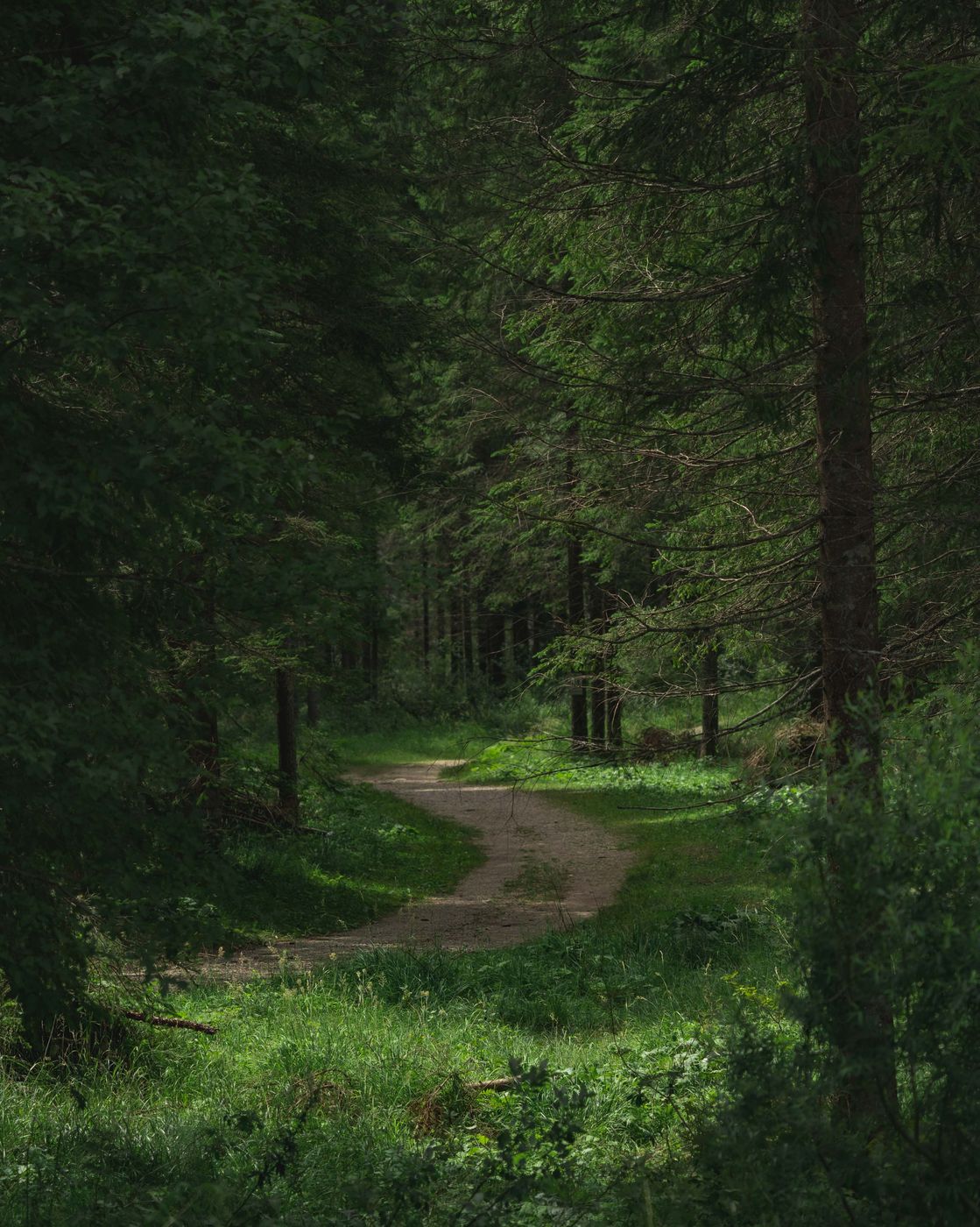 Sappada, Italy