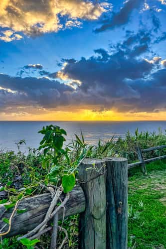 Mona Vale Headland, Mona Vale, Sydney NSW