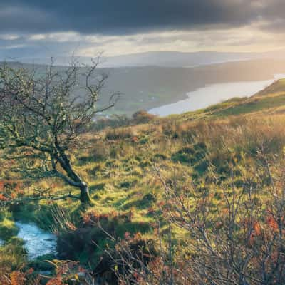 Tarbert, United Kingdom