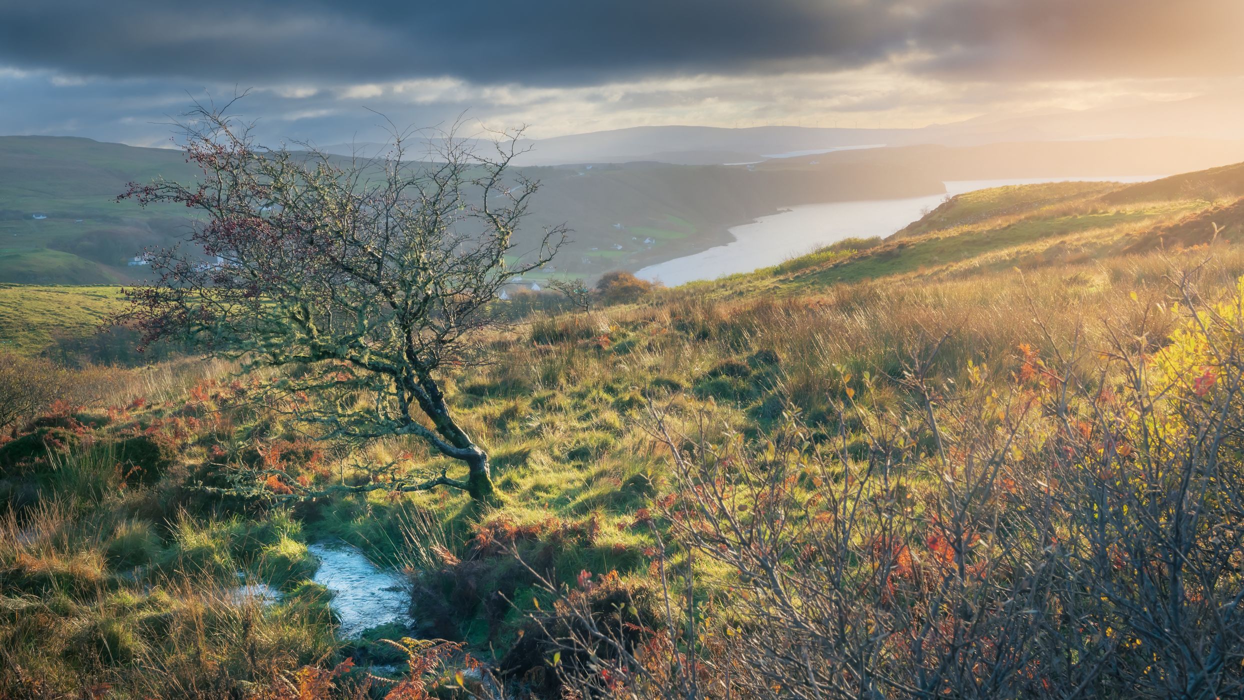 Tarbert, United Kingdom