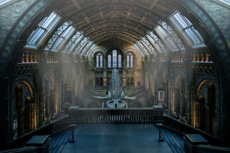 The Natural History Museum, London