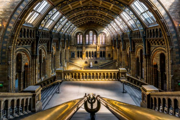 The Natural History Museum, London