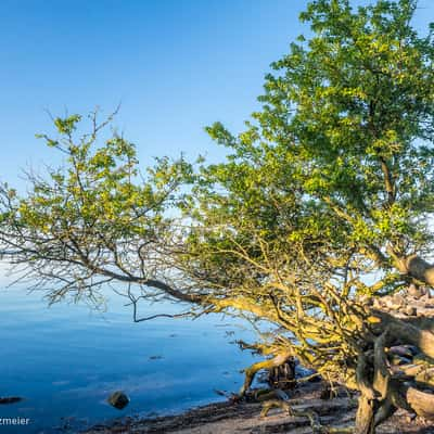 Trelde Næs, Denmark