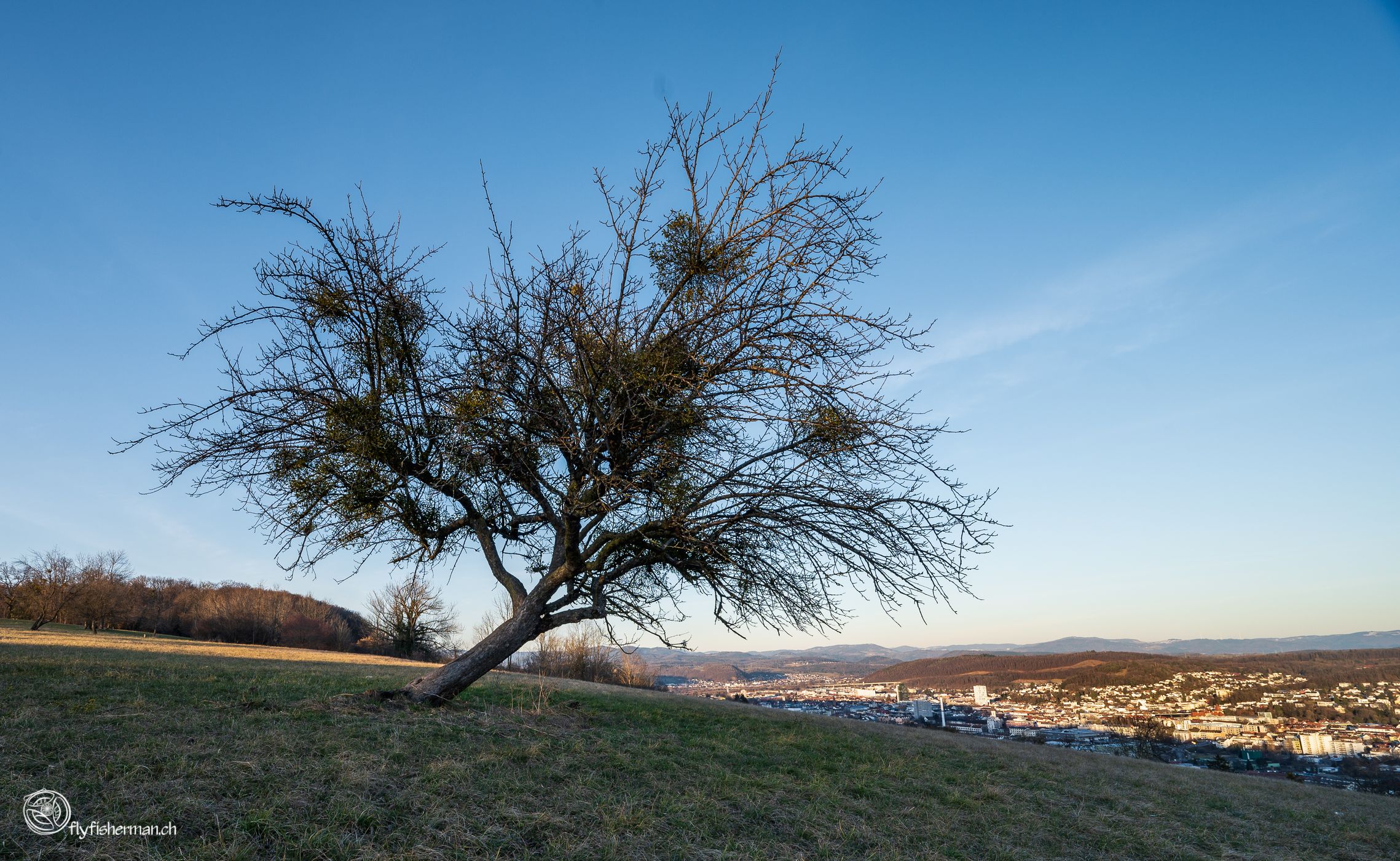 Tüllinger Berg, Germany