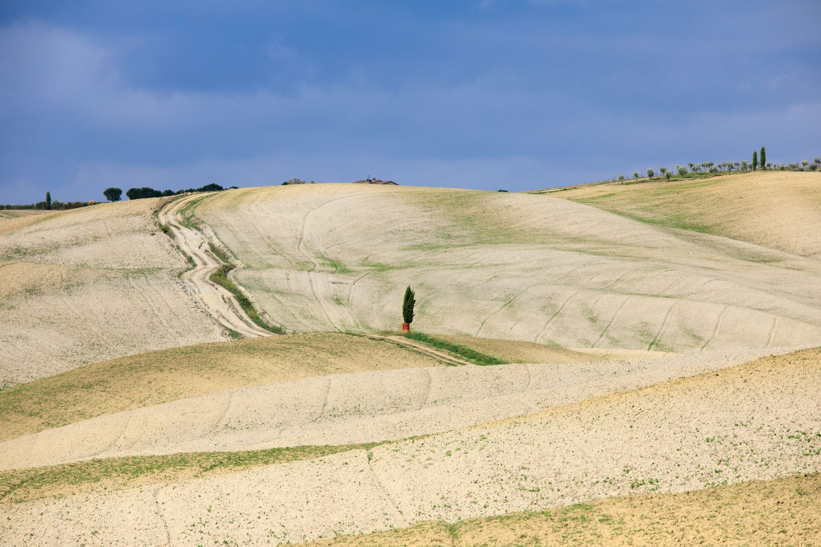 Tuscany Grove, Italy